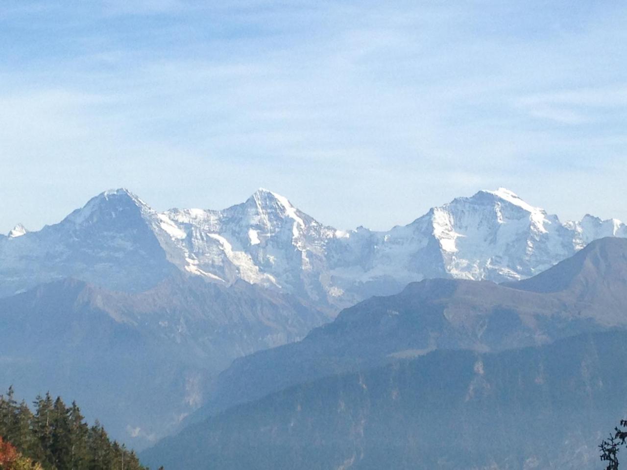 Swiss Seeblick Apartment Mit Hotelanbindung Beatenberg Luaran gambar