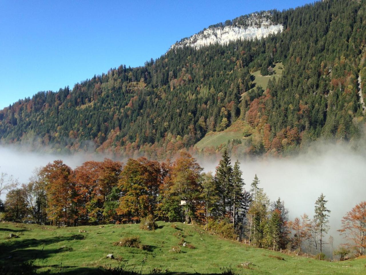 Swiss Seeblick Apartment Mit Hotelanbindung Beatenberg Luaran gambar
